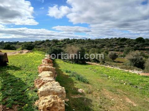 Terreno Rústico  Venda em Albufeira e Olhos de Água,Albufeira