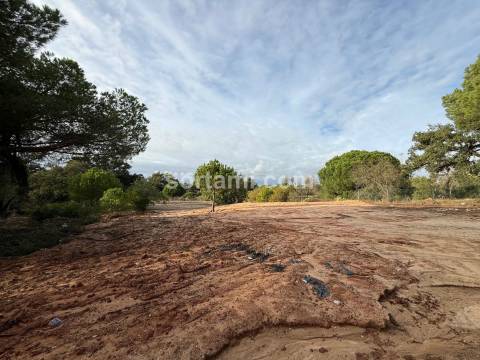 Terreno Para Construção  Venda em Almancil,Loulé