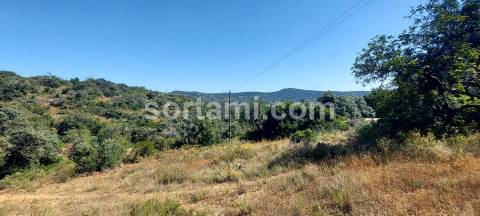 Terreno Para Construção  Venda em Loulé (São Clemente),Loulé