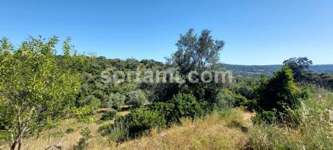 Terreno Para Construção  Venda em Loulé (São Clemente),Loulé