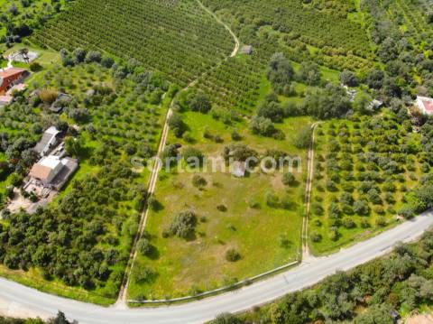 Terreno Para Construção  Venda em Moncarapacho e Fuseta,Olhão