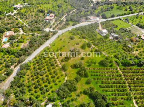 Terreno Para Construção  Venda em Moncarapacho e Fuseta,Olhão