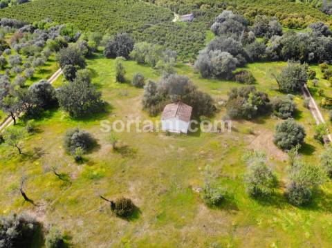 Terreno Para Construção  Venda em Moncarapacho e Fuseta,Olhão