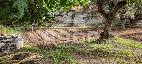 Quintinha T2 Venda em Santiago Maior,Alandroal