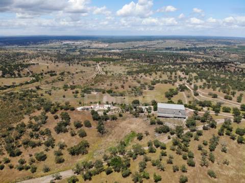 Herdade T4 Venda em Pavia,Mora