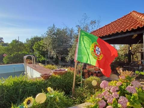 Quinta T3 Venda em Orada,Borba