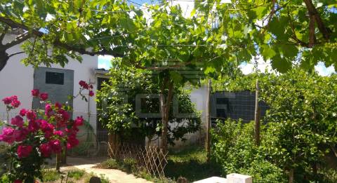Quinta T3 Venda em Orada,Borba