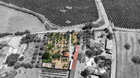 Quinta T3 Venda em Orada,Borba