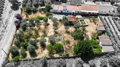 Quinta T3 Venda em Orada,Borba