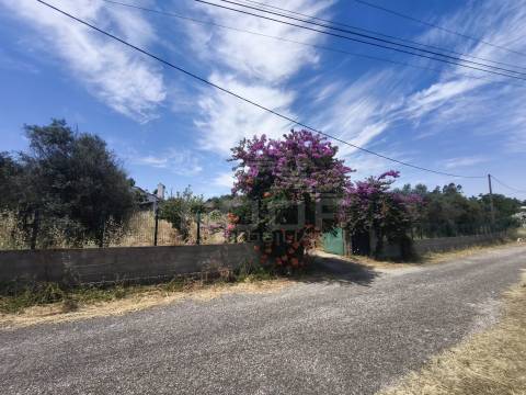 Quinta T3 Venda em Orada,Borba