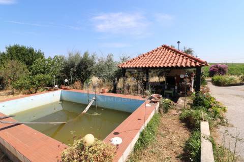 Quinta T3 Venda em Orada,Borba