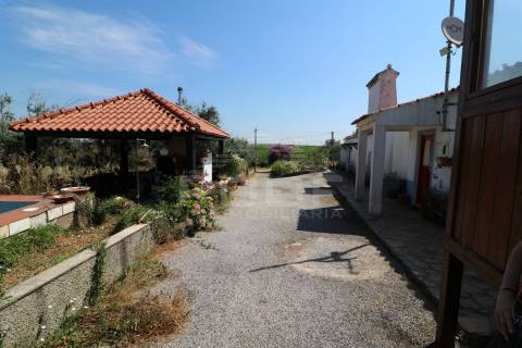 Quinta T3 Venda em Orada,Borba