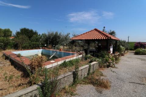 Quinta T3 Venda em Orada,Borba