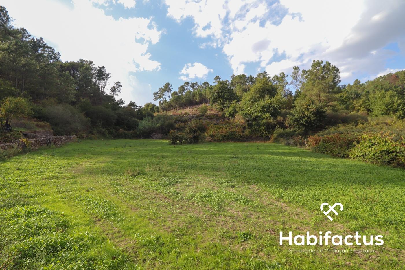 Terreno para venda em Silgueiros - Viseu