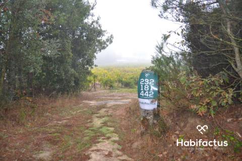 Terreno com 2012 m2 em Carvalhal Redondo.
