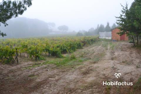 Terreno com 2012 m2 em Carvalhal Redondo.