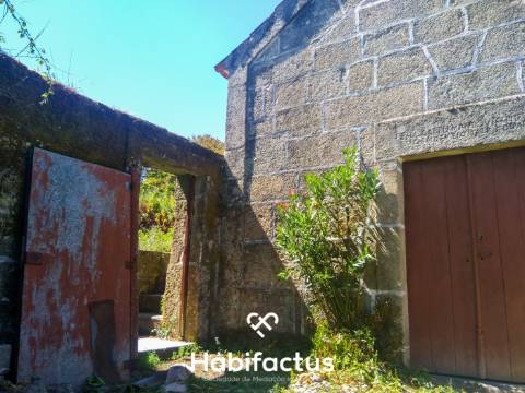 Quinta com casa senhorial brasonada em granito - Viseu