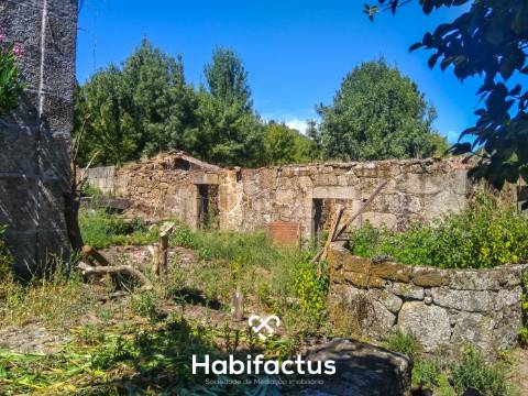 Quinta com casa senhorial brasonada em granito - Viseu