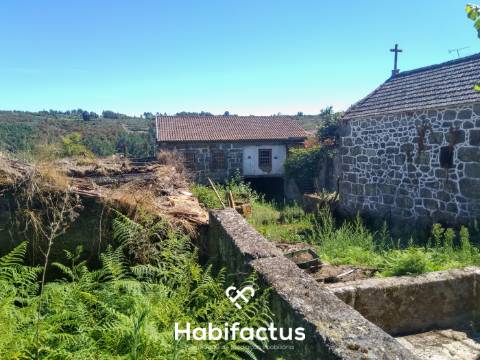 Quinta com casa senhorial brasonada em granito - Viseu