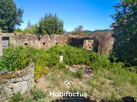 Quinta com casa senhorial brasonada em granito - Viseu