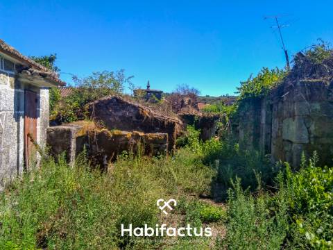 Quinta com casa senhorial brasonada em granito - Viseu