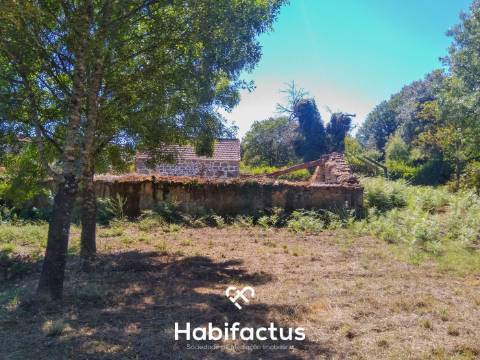 Quinta com casa senhorial brasonada em granito - Viseu