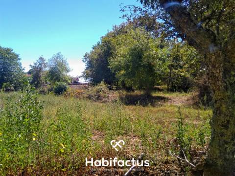 Quinta com casa senhorial brasonada em granito - Viseu