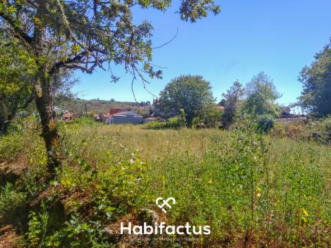 Quinta com casa senhorial brasonada em granito - Viseu