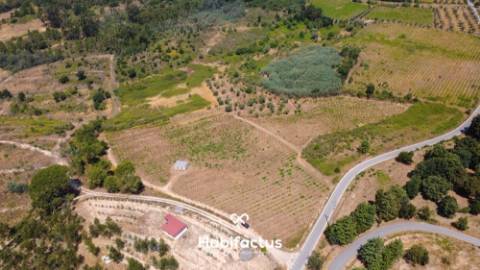 Oportunidade Única: Quinta Excepcional com Vinha de Castas Selecionadas à Venda entre Nelas e Mangua