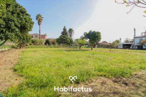 Moradia T4 com Terreno em Carregal do Sal