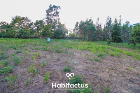 Terreno para Construção com 4720m² em Sabugosa – Ideal para Moradia Isolada ou Geminada