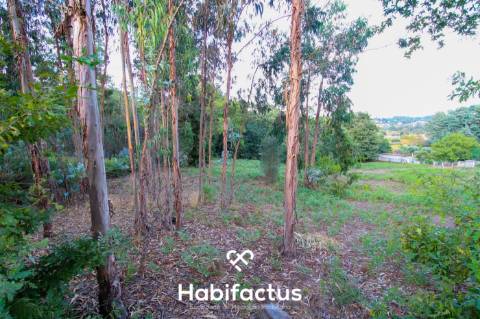 Terreno para Construção com 4720m² em Sabugosa – Ideal para Moradia Isolada ou Geminada