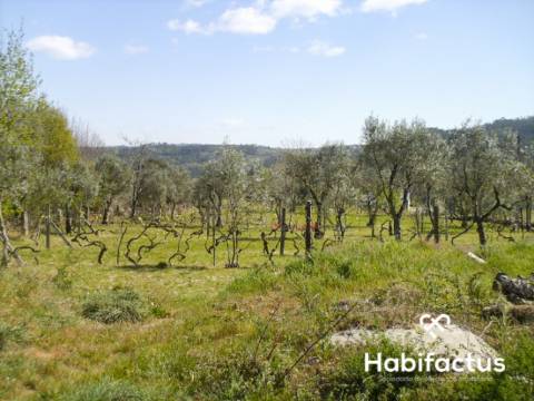 Terreno para construção em Viseu