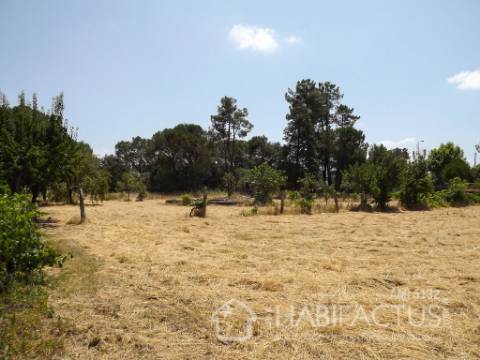 Terreno Para Construção  Venda em Canas de Senhorim,Nelas