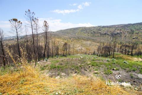 Terreno Para Construção  Venda em Nelas,Nelas