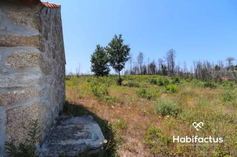 Terreno  Venda em Santiago de Cassurrães e Póvoa de Cervães,Mangualde