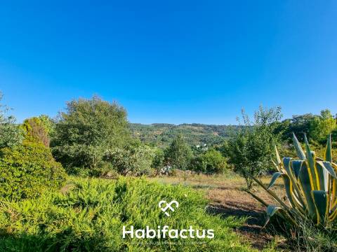 Quinta de características únicas com moradia T4 térrea para venda em Fragosela, Viseu