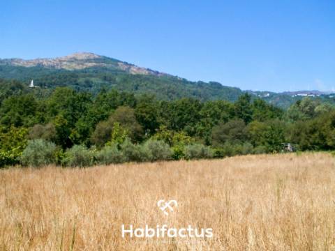 Terreno de cultivo com 2150 m2 - Tondela