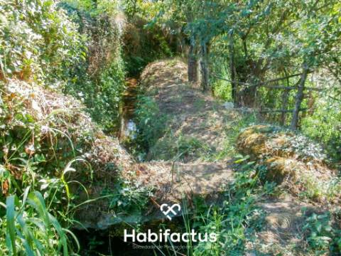 Terreno de cultivo com 2150 m2 - Tondela