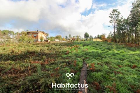 Terreno  Venda em Lordosa,Viseu