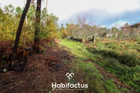 Terreno  Venda em Lordosa,Viseu