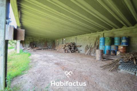 Pavilhão Industrial e armazém para venda em Fiais da Telha - Carregal do Sal - Viseu