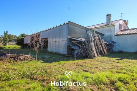 Pavilhão Industrial e armazém para venda em Fiais da Telha - Carregal do Sal - Viseu
