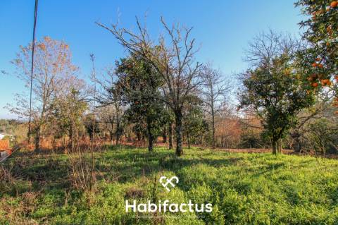 Terreno amplo e versátil em Santiago de Besteiros