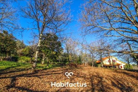 Terreno amplo e versátil em Santiago de Besteiros
