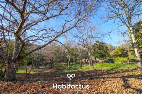 Terreno amplo e versátil em Santiago de Besteiros