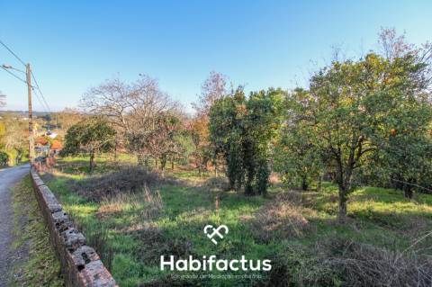 Terreno amplo e versátil em Santiago de Besteiros