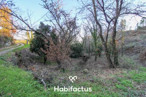 Terreno amplo e versátil em Santiago de Besteiros