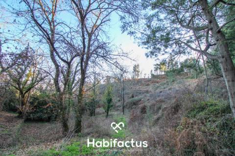 Terreno amplo e versátil em Santiago de Besteiros