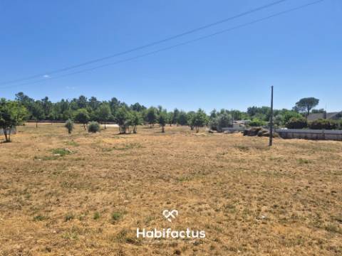 Terreno para venda em Viseu.